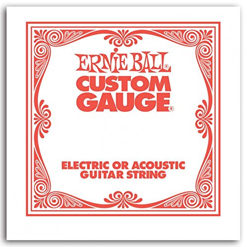 Book Cover Ernie Ball 1013 Single Plain Guitar String (.013)