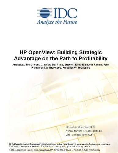 HP OpenView: Building Strategic Advantage on the Path to Profitability