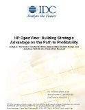 HP OpenView: Building Strategic Advantage on the Path to Profitability