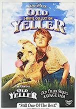 Book Cover Old Yeller 2-Movie Collection (Old Yeller/Savage Sam)