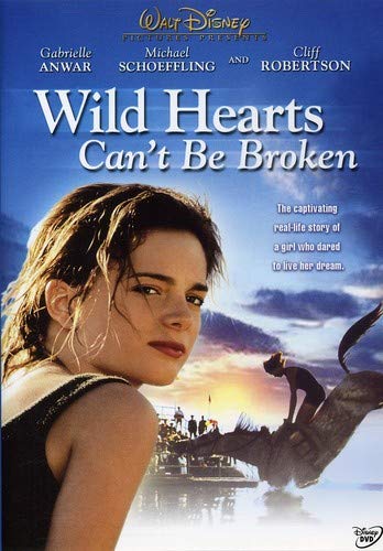 Book Cover Wild Hearts Can't Be Broken
