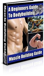 Learn How To Successfully Build Muscle!