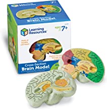 Book Cover Learning Resources Cross-section Brain Model, 2 Piece, Color Coded , Ages 7+