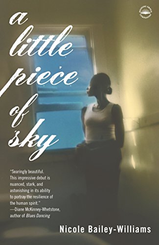 Book Cover A Little Piece of Sky: A Novel