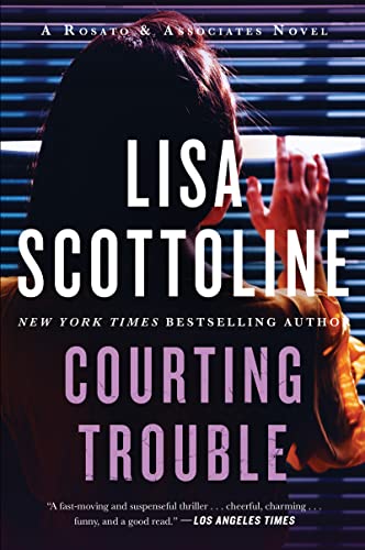 Courting Trouble (Rosato & Associates Book 7)