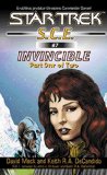Star Trek: Invincible Book One (Star Trek: Starfleet Corps of Engineers)