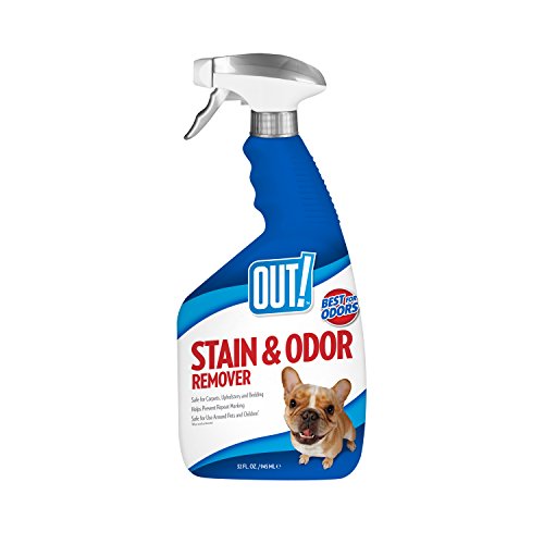 OUT! Pet Stain & Odor Remover, 32 oz