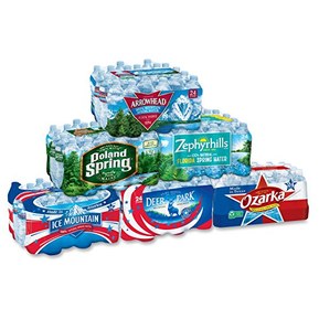Nestle Bottled Water 16.9oz Per Bottle, 24 Bottle Case (Brand Varies By Region)