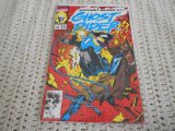 Ghost Rider Comic #14 (Johnny Blaze Vs. Ghost Rider, 14)