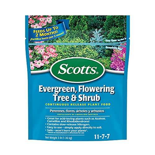 Book Cover Scotts Evergreen Flowering Tree & Shrub Continuous Release Plant Food 3-Pound