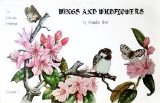 Sue Scheewe Presents Wings and Wildflowers Volume 3 Claudia Nice