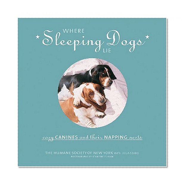 Where Sleeping Dogs Lie: Cozy Canines and Their Napping Nests