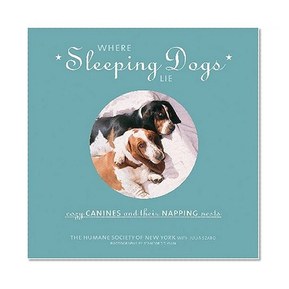 Where Sleeping Dogs Lie: Cozy Canines and Their Napping Nests