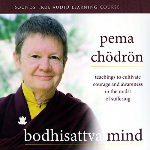 Bodhisattva Mind: Teachings to Cultivate Courage and Awareness in the Midst of Suffering