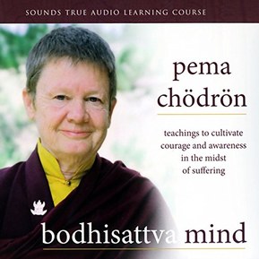 Bodhisattva Mind: Teachings to Cultivate Courage and Awareness in the Midst of Suffering