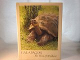 Galapagos: The Flow of Wildness
