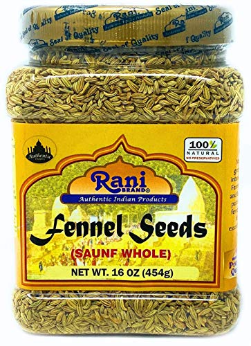 Rani Fennel Seeds (Saunf Sabut) Whole Spice 16oz (1lb) 454g PET Jar ~ All Natural | Gluten Friendly | NON-GMO | Vegan | Indian Origin