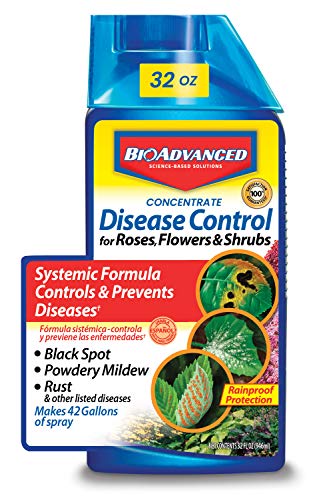 Book Cover BioAdvanced Disease Control for Roses, Flowers and Shrubs, Concentrate, 32 oz