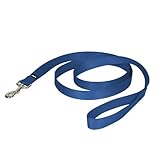 PetSafe Nylon Leash, 1" x 6', Royal Blue
