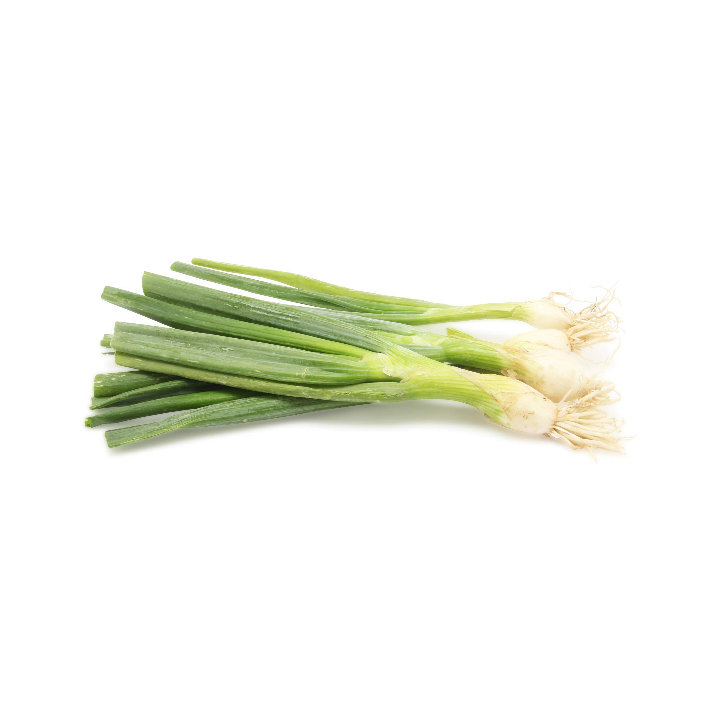 Organic Green Onion (Scallions), 1 Bunch 1 EA