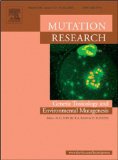 Enhancement of phase II enzyme activity by purpurin resulting in the suppression of MeIQx-DNA-adduct formation in mice [An article from: Mut.Res.-Genetic Toxicology and Environmental Mutagenesis]