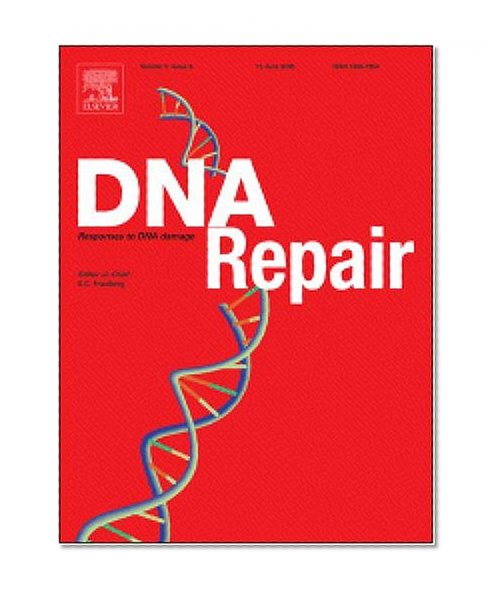 Yeast Rev1 is cell cycle regulated, phosphorylated in response to DNA damage and its binding to chromosomes is dependent upon MEC1 [An article from: DNA Repair]