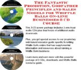 The Fantastic Promotion, Godfather Principles and Sales Models for Whiffle Balls On-line Businesses 3 CD Course