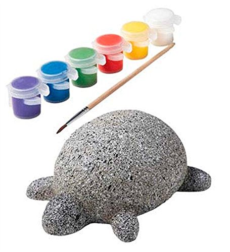 Book Cover ALEX Toys Craft Rock Pets Turtle, Multi