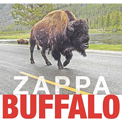 Book Cover Buffalo [2 CD]
