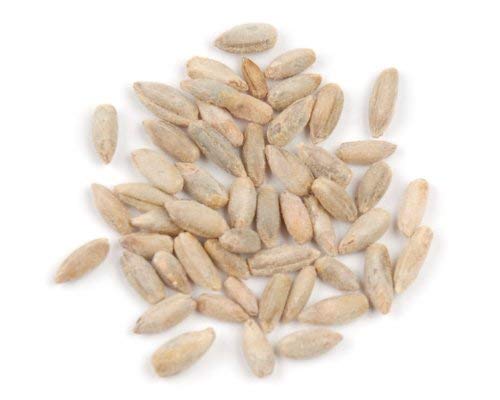 D’allesandro 10 lbs. Raw Rye Berries, Kosher Parve Certified & Non-GMO