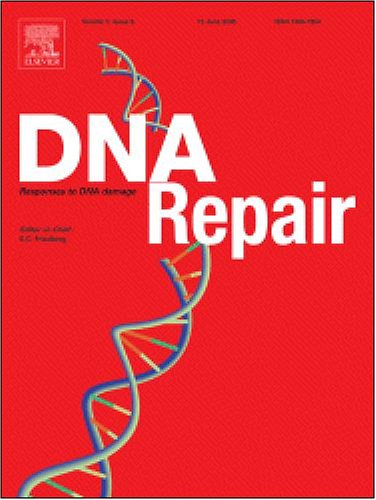 The rate of extrachromosomal homologous recombination within a novel reporter plasmid is elevated in cells lacking functional ATM protein [An article from: DNA Repair]