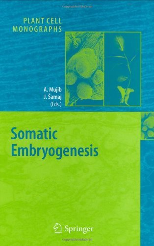 Somatic Embryogenesis: 2 (Plant Cell Monographs)