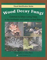 Wood Decay Fungi: Common to Urban Living Trees in the Northeast and Central United States