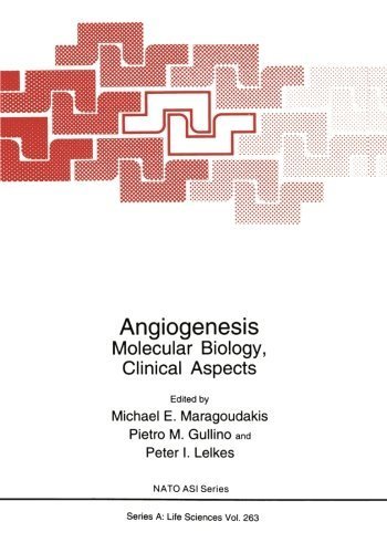 Angiogenesis: Molecular Biology, Clinical Aspects (Nato Science Series A:)