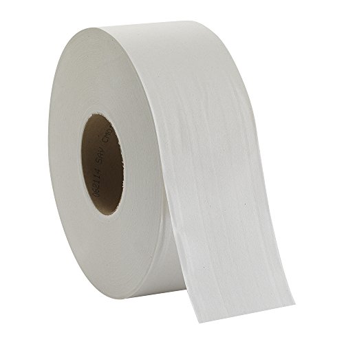 Book Cover Envision 2-Ply Jumbo Jr. Toilet Paper by GP PRO (Georgia-Pacific), 12798, 1000 Linear Feet per Roll, 8 Rolls Per Case