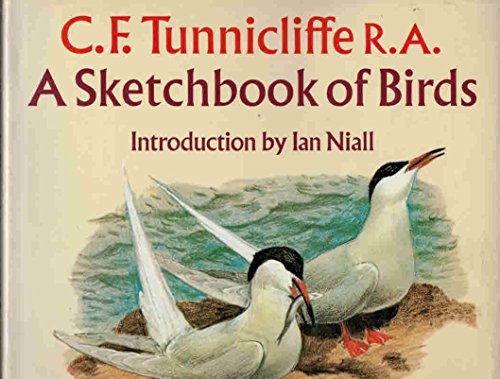 A Sketchbook of Birds