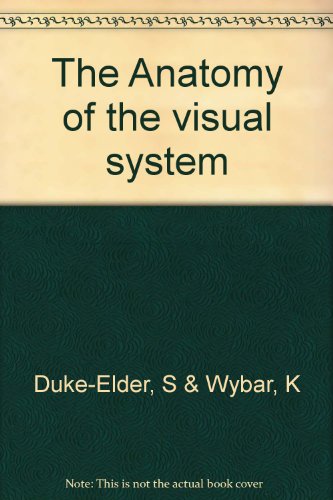 The Anatomy of the Visual System