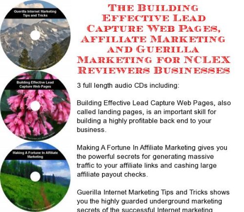 The Guerilla Marketing, Building Effective Lead Capture Web Pages, Affiliate Marketing for NCLEX Reviewers Businesses