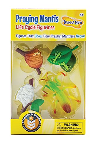 Book Cover Praying Mantis 4 Piece Life Cycle Figures - 2