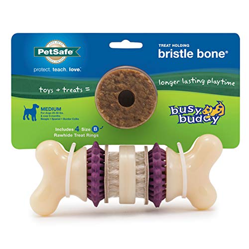 PetSafe Busy Buddy Bristle Bone Chew Toy for Dogs â€“ Strong Chewers â€“ Helps Clean Teeth â€“Purple, Medium