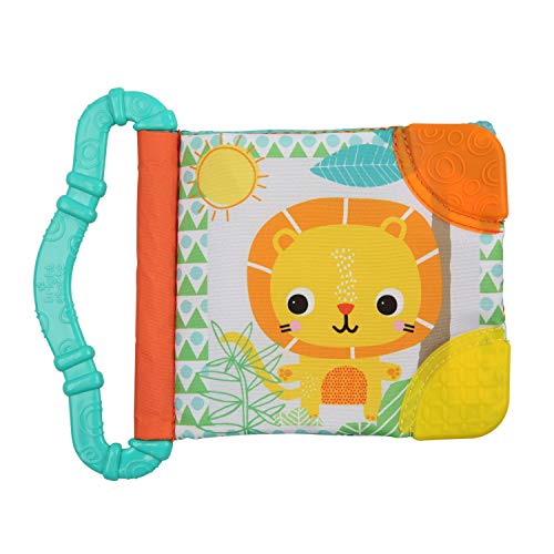 Book Cover Bright Starts Teethe & Read Soft Book Toy, Ages 3 Months +, Style May Vary