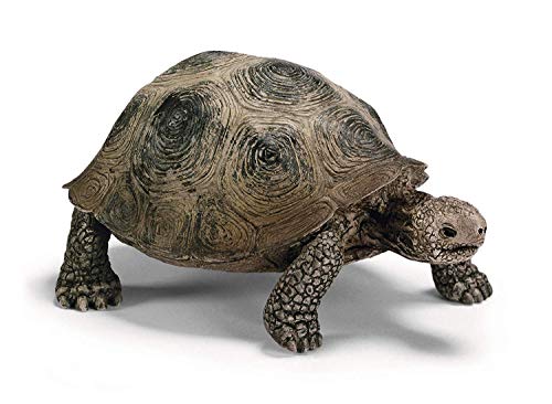 Book Cover Schleich Giant Tortoise