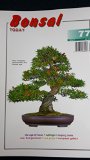 Bonsai Today #77