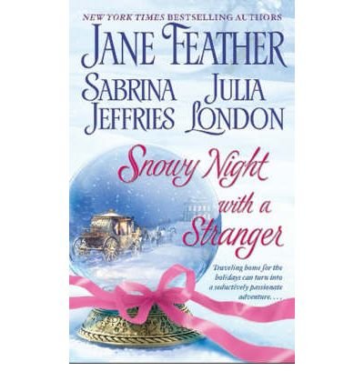 Snowy Night with a Stranger
