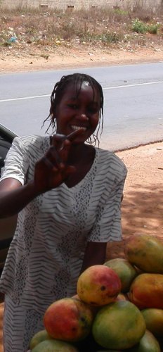 African women, tradition and change in Cheikh Hamidou kane's Ambiguous Adventure and Mariama Ba's So Long a Letter.(Critical essay): An article from: Journal of Pan African Studies