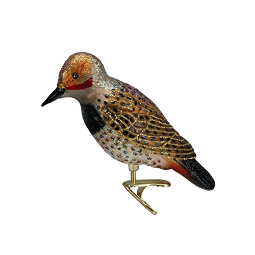 Old World Christmas Ornaments: Northern Flicker Glass Blown Ornaments for Christmas Tree (18076)
