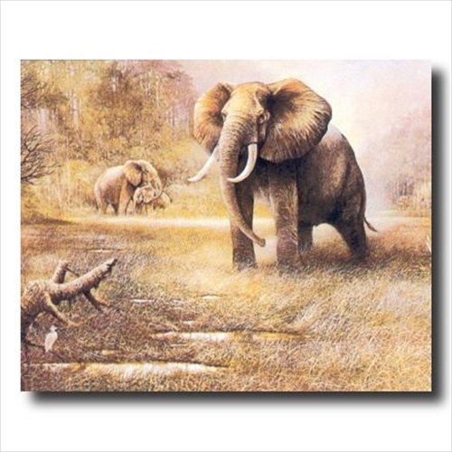 Book Cover Art Prints Inc African Elephant Safari Wall Decor Animal Wildlife Picture Art Print