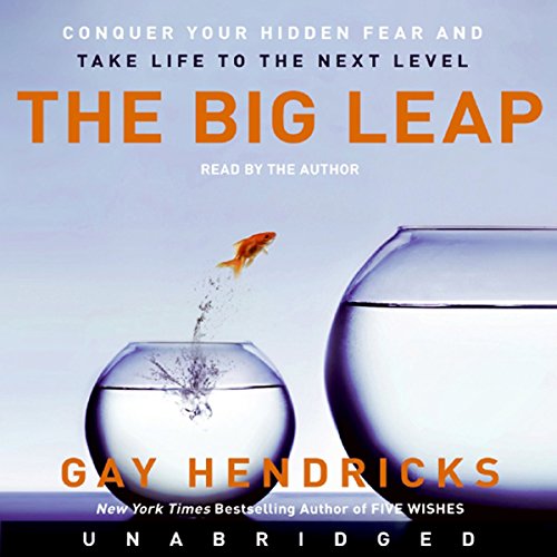 Book Cover The Big Leap