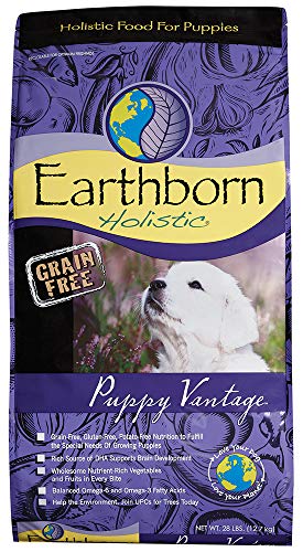 Book Cover Earthborn Holistic Puppy Vantage Grain-Free Dry Dog Food