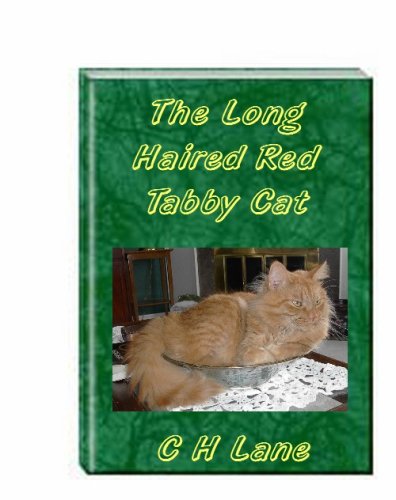 The Long Haired Red or Orange Tabby Cat